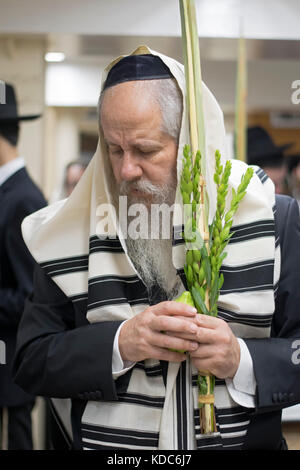 Un homme juif religieux priant sur Souccot avec et esrog et loulav. Dans une synagogue à Brooklyn, New York. Banque D'Images