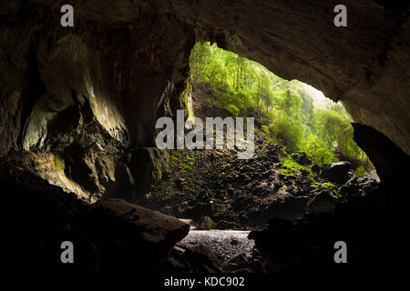 Grotte de cerfs dans le parc national du Gunung Mulu Banque D'Images