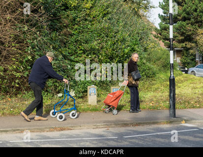 Vieux couple with shopping Banque D'Images