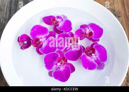 Le feng shui, les orchidées dans un bol avec de l'eau. Banque D'Images