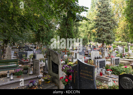 De nombreuses pierres tombales au cimetière Oliwa à Gdansk, en Pologne. Banque D'Images