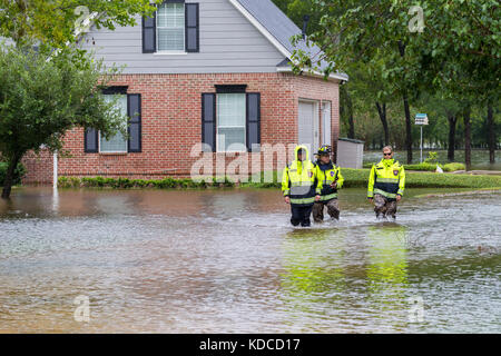 Les premiers intervenants à partir de New York City Fire Station 4 inspecter les maisons inondées en banlieue de Houston. Les services d'urgence répondre à l'ouragan Harvey Banque D'Images