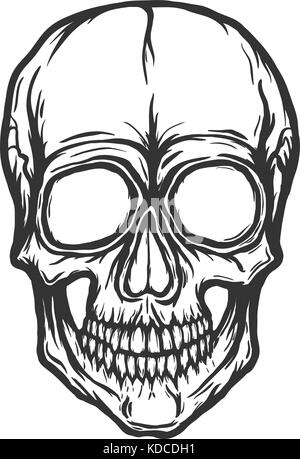 Vecteur crâne isolé sur fond blanc Illustration de Vecteur
