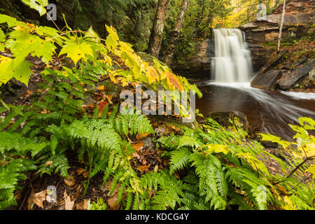 Feuillage d'automne et de fougères dans le cadre de chutes hongrois péninsule Keweenaw du Michigan. dover creek déborde sur cette belle cascade, près de calument michi Banque D'Images