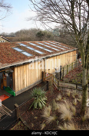 Vue extérieure de la Maison des tortues Galapagos au zoo de Londres ZSL, Royaume-Uni Banque D'Images