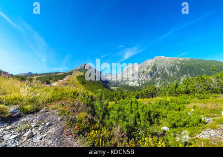 Vue pittoresque sur les montagnes des Hautes Tatras près de Strbske Pleso, Slovaquie Banque D'Images