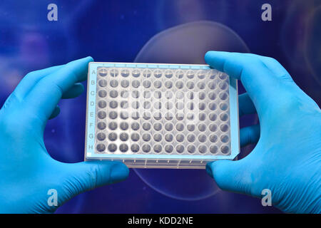 Dans la recherche en biotechnologie, l'utilisation de la technologie cellulaire. L'équipement scientifique dans le laboratoire d'analyses biologiques. Banque D'Images