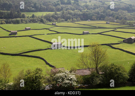 Les étables et les murs en pierre sèche près de gunnerside swaledale, dans le Yorkshire. Banque D'Images