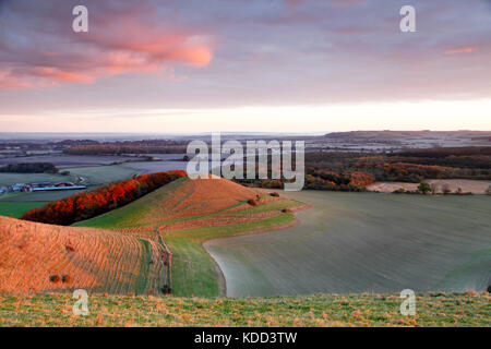 Le CLAJ Hill près de Salisbury dans le Wiltshire. Banque D'Images