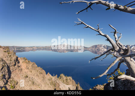 Une réflexion parfaite de la jante de la Crater Lake dans l'oregon dans le Pacifique Nord-Ouest, usa Banque D'Images