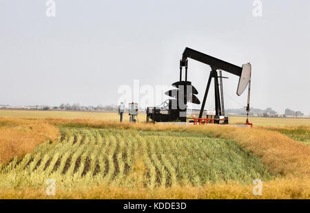 Prise d'huile de l'énergie des champs de gaz de la saskatchewan canada Banque D'Images