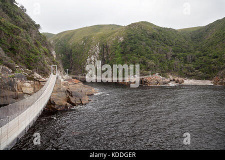 L'Afrique du Sud, Walker sur le pont suspendu à l'embouchure de la rivière de tempêtes, le parc national de Tsitsikamma. Banque D'Images