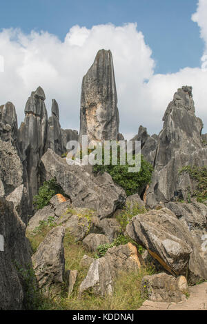 Plus grande forêt de pierre de Shilin,, près de Kunming, Yunnan, Chine Banque D'Images