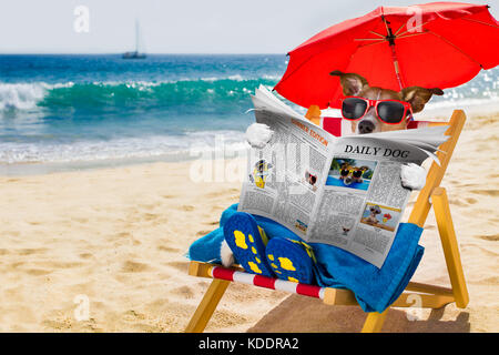 Jack Russel chien et vous reposer sur un hamac ou chaise de plage sous parapluie à la beach ocean shore, les vacances d'été vacances lecture un magazi Banque D'Images