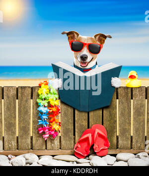 Jack Russel chien et vous reposer sur un mur ou une clôture à la plage ocean shore, les vacances d'été vacances, lire un livre Banque D'Images