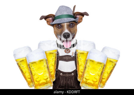 Chien Jack Russell tenant deux verres isolé sur fond blanc , prêt pour la partie de la bière à Munich festival Célébration Banque D'Images