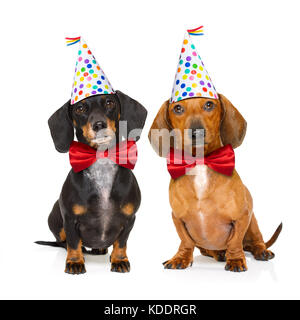 Couple de deux chiens teckel ou saucisse faim pour un joyeux anniversaire gâteau avec bougies ,portant cravate rouge et party hat , isolé sur blanc backgroun Banque D'Images