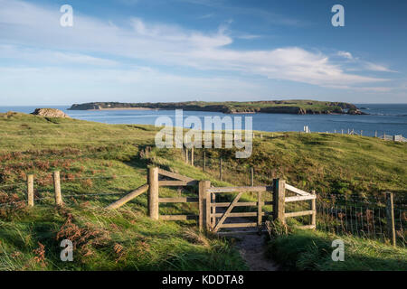 Sur le chemin Coastpath en face de l'île de Caldey Tenby Pembrokeshire Pays de Galles Banque D'Images