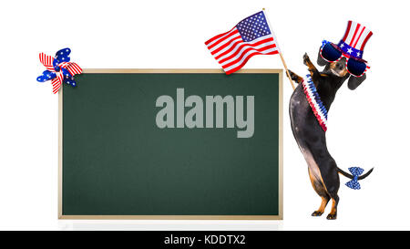 Teckel chien saucisse qui agitait un drapeau d'usa et de la victoire ou de la paix le jour de l'indépendance des doigts 4 juillet, bannière ou la plaque tableau noir pour le côté Banque D'Images