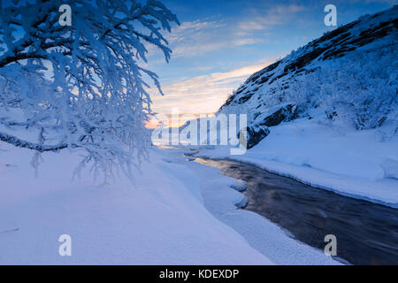 Lever du soleil sur la rivière gelée, abisko, municipalité du comté de Norrbotten, Kiruna, Lapland, Sweden Banque D'Images