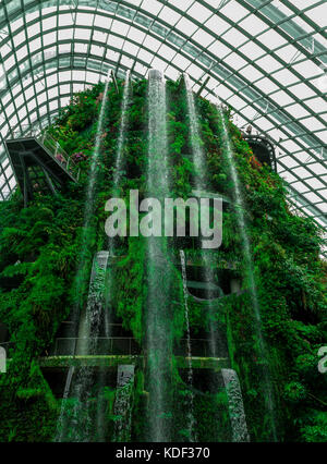 Plus grand monde cascade intérieure, piscine Cloud Dome, Singapour Banque D'Images