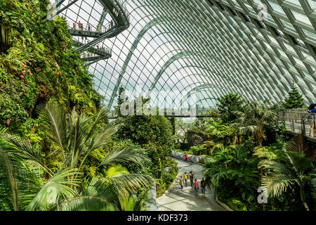 Forêt de nuage intérieur Dome, Singapour Banque D'Images