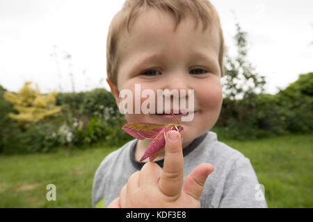 Toddler holding hawk moth ; un contact avec la nature Banque D'Images