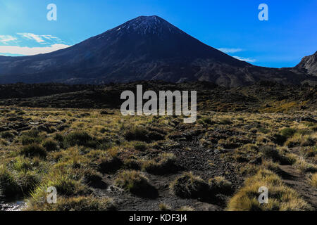 Parc national de Tongariro, Nouvelle-Zélande Banque D'Images