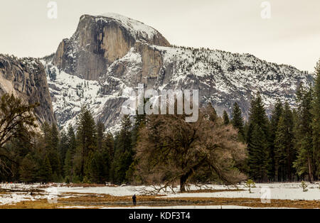 Half Dome, Yosemite National Park, Californie, l'Amérique Banque D'Images