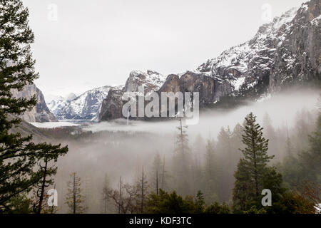 Yosemite National Park, Californie, l'Amérique Banque D'Images