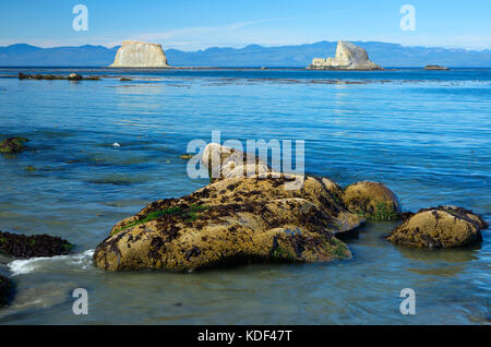 Seal Rocks et à voile, détroit de Juan de Fuca Scenic Byway, Snow Creek accès Pêche, Washington Banque D'Images