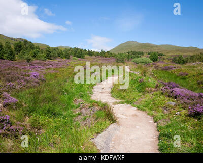 Vu de l'Ghlas Beinn Ben Lawers National Nature Reserve, Ben Lawers, Perthshire, Écosse Banque D'Images