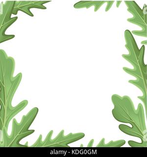 Ensemble de la roquette roquette, salade de roquette et de feuilles vert frais isolé sur fond blanc présente. vector illustration dessiné à la main et la page du site web. Illustration de Vecteur