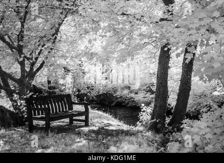 Un banc en bois à côté de la rivière Exe dans le Parc National d'Exmoor tourné en infrarouge. Banque D'Images