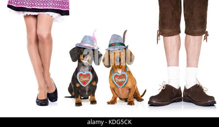 Teckel chiens saucisse bavaroise ou couple avec gingerbread avec le propriétaire isolé sur fond blanc , prêt pour la fête de la bière festival à mun Banque D'Images