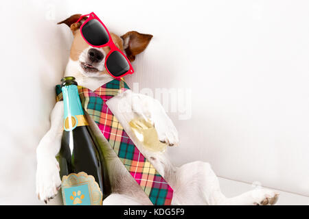 Drunk Jack Russell Terrier dog le repos, le sommeil hangover avec maux de tête, avec bouteille et verre , portant des lunettes et une cravate Banque D'Images