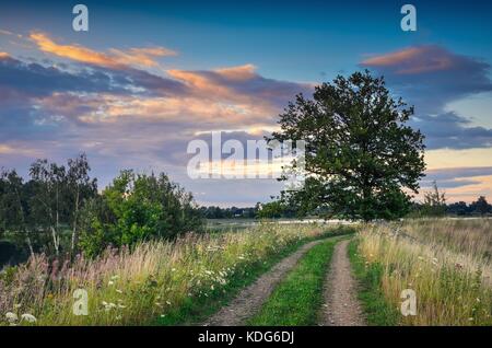 Beau paysage d'été. chemin rural entre les herbes vertes et beau ciel coloré à l'arrière-plan. Banque D'Images