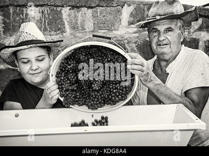 Teenage boy avec son grand-père parsèment grappes de raisins à la vigne. presse deux agriculteurs. vintage thème. chasse d'automne. photo en noir et blanc. Banque D'Images