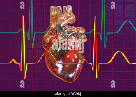 Illustration d'ordinateur du coeur avec les vaisseaux coronaires et l'électrocardiogramme (ECG). Banque D'Images