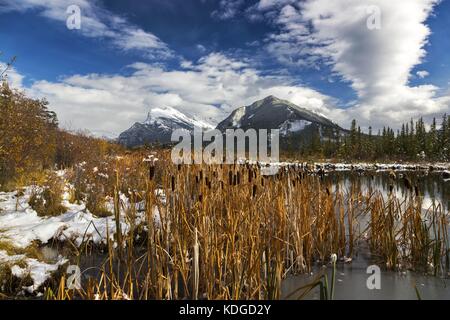 Paysage marécageux des marais aux lacs Vermilion, horizon lointain couvert de neige de Rundle Mountain Peak. Parc national Banff montagnes Rocheuses canadiennes Banque D'Images