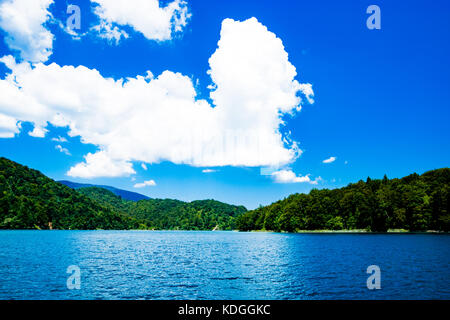 La réflexion dans les lacs de Plitvice en Croatie Banque D'Images