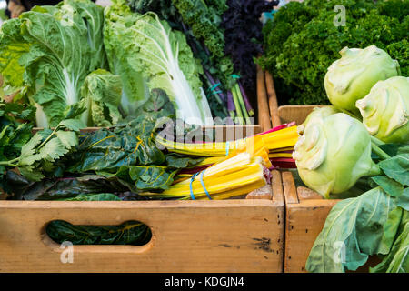 Assortiment de légumes verts frais dans des encadrés à un marché de fermiers après la récolte Banque D'Images