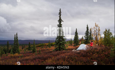 Wonder lake campground Banque D'Images