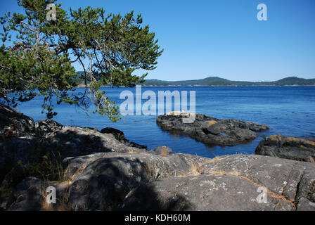 Parc East Sooke, près de Victoria, BC, Canada est l'endroit idéal pour une promenade ou un dimanche randonnée plus longue Banque D'Images