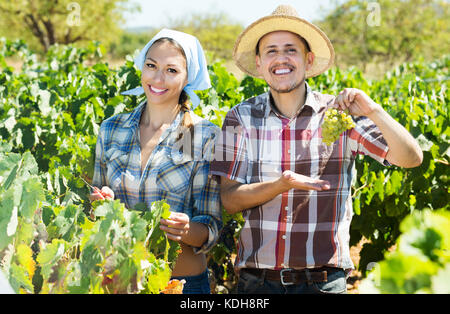 Vieil homme positif et jeune femme debout entre les jardiniers arbres raisins sur sunny day Banque D'Images