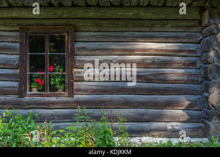 Une fenêtre avec des fleurs dans une vieille maison de bois de l'habitat traditionnel des populations autochtones de l'Estonie Banque D'Images