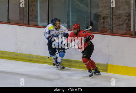 Novi Sad, Serbie. 14 octobre 2017. Match de la Ligue internationale de hockey (IHL) entre le domicile HC Vojvodina Novi Sad et l'extérieur HK Triglav Kranj. Crédit : Hardtodigit/Alamy Live News Banque D'Images