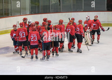 Novi Sad, Serbie. 14 octobre 2017. Match de la Ligue internationale de hockey (IHL) entre le domicile HC Vojvodina Novi Sad et l'extérieur HK Triglav Kranj. Crédit : Hardtodigit/Alamy Live News Banque D'Images