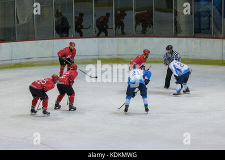 Novi Sad, Serbie. 14 octobre 2017. Match de la Ligue internationale de hockey (IHL) entre le domicile HC Vojvodina Novi Sad et l'extérieur HK Triglav Kranj. Crédit : Hardtodigit/Alamy Live News Banque D'Images