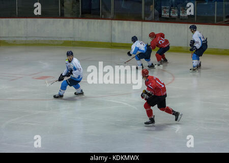 Novi Sad, Serbie. 14 octobre, 2017. La ligue internationale de hockey (IHL) Concordance entre l'accueil hc vojvodina Novi Sad et loin hk triglav kranj. crédit : hardtodigit/Alamy live news Banque D'Images